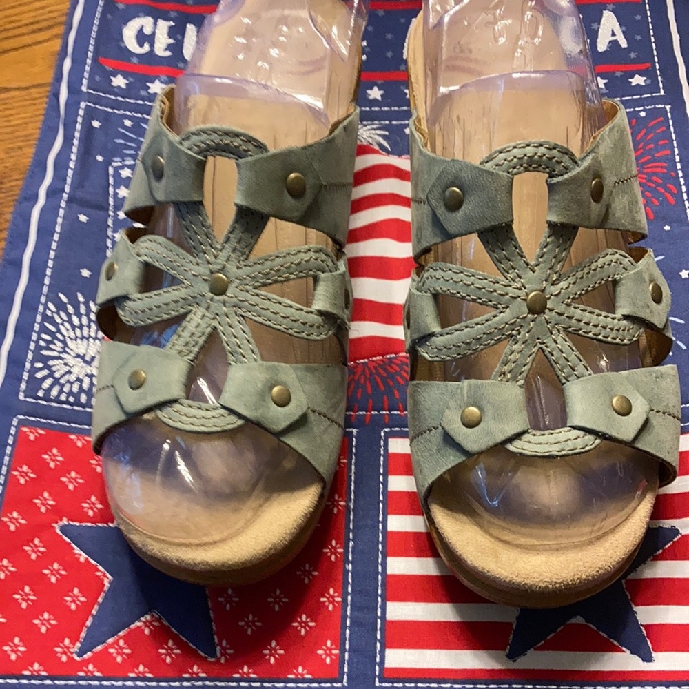 Dansko Clogs